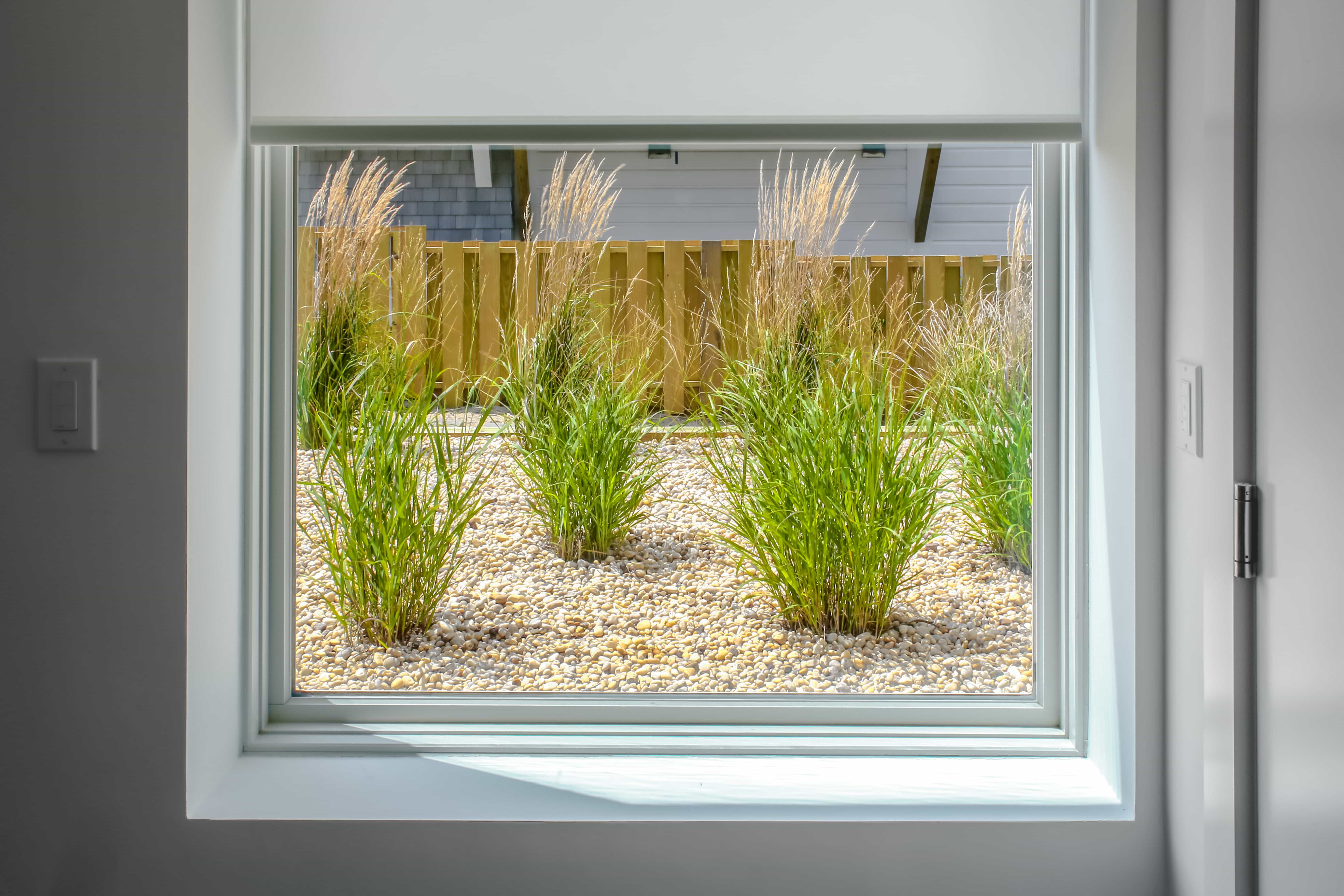 landscape-vestibule window IMG_0028